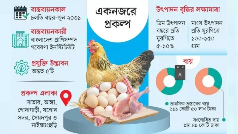 দেশি মুরগির উৎপাদন বাড়াতে ৪৯ কোটি টাকার প্রকল্প